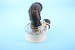 C00856635 Проточный тэн ПММ Whirlpool Indesit:1