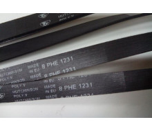 Ремень 1231 H8 EL СМА Ariston Indesit