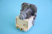 1326911003 Насос Askoll 239 СМА Zanussi Electrolux Оригинал!:1