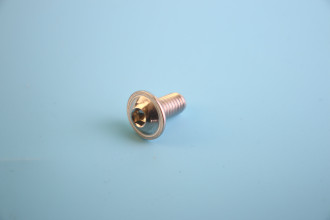 Винт нерж M6x12mm пресс шайба
